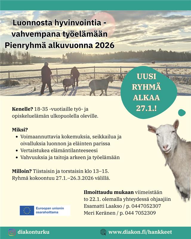 Pienryhmä tammikuu 2026