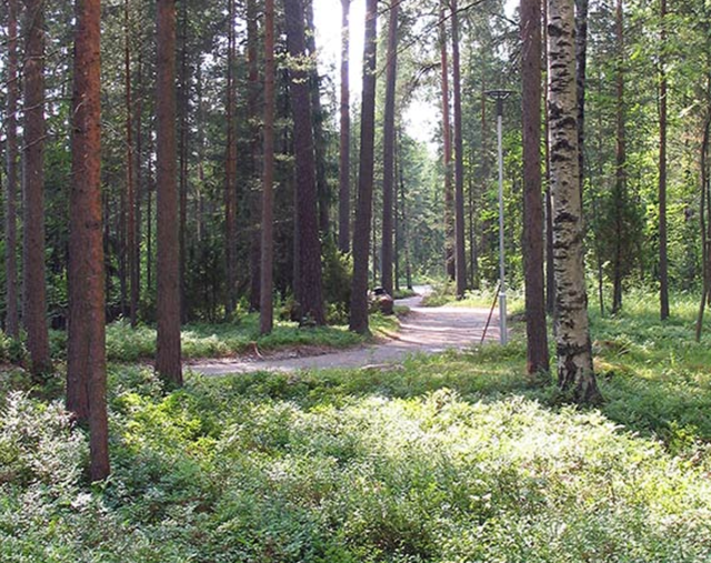 DiakonPuiston kapea polku metsäisessä maastossa.